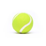 Clean tennis balls