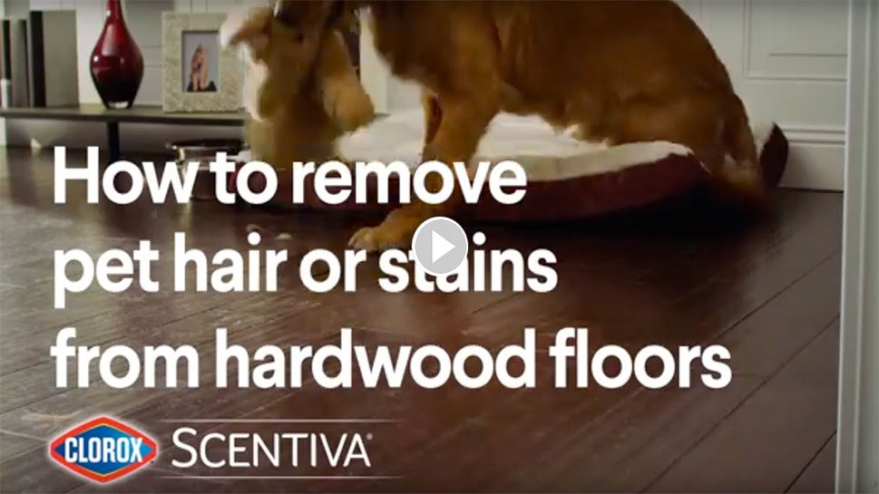 will dog urine damage laminate flooring