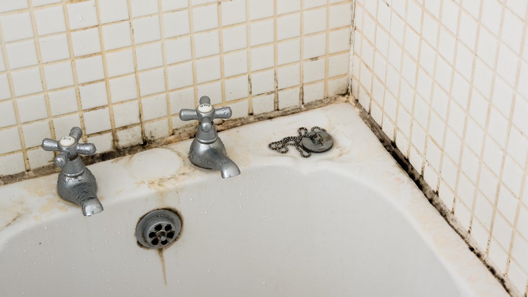Does Bleach Kill Mold Clorox - How To Safely Clean Bathroom Mold