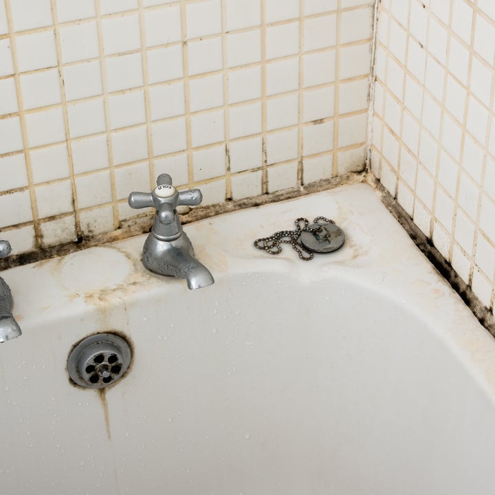 Does Bleach Kill Mold Clorox, Bleach To Clean Bathtub Mold