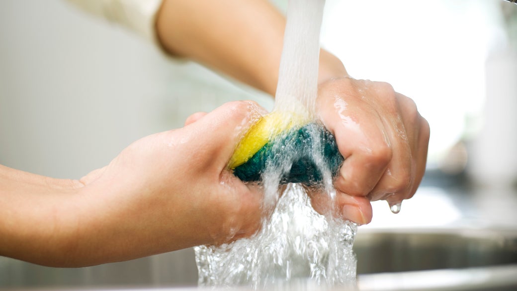 operador protestante Zumbido Cómo limpiar e higienizar esponjas con blanqueador | Clorox®