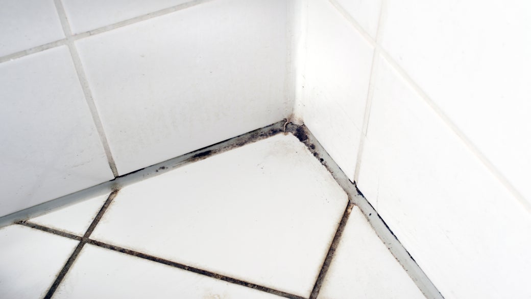 Cómo eliminar el moho de la ducha y las paredes del baño