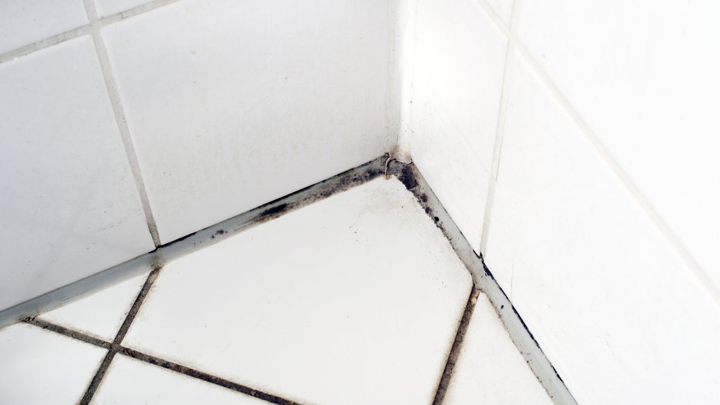 How To Remove Bathroom Mold On Wallold In Shower Clorox - How To Clean Mildew From Walls In Bathroom