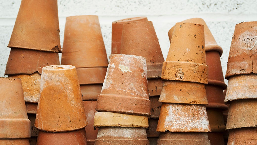 How to Clean Terracotta Clay and Flower Pots with Bleach