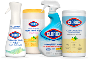 Clorox Coupons  Dust Wipes, Pump 'N Clean + More :: Southern Savers